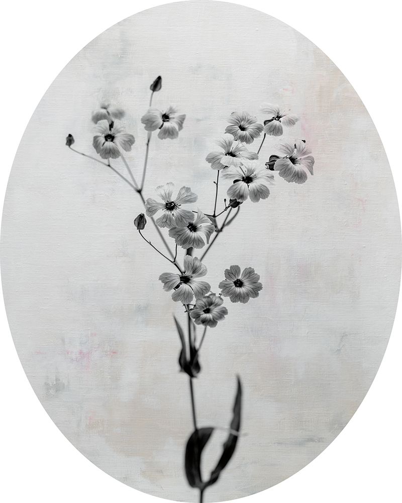 Wonderful Wildflowers XV Neutral Oval art print by Deborah Revell for $57.95 CAD
