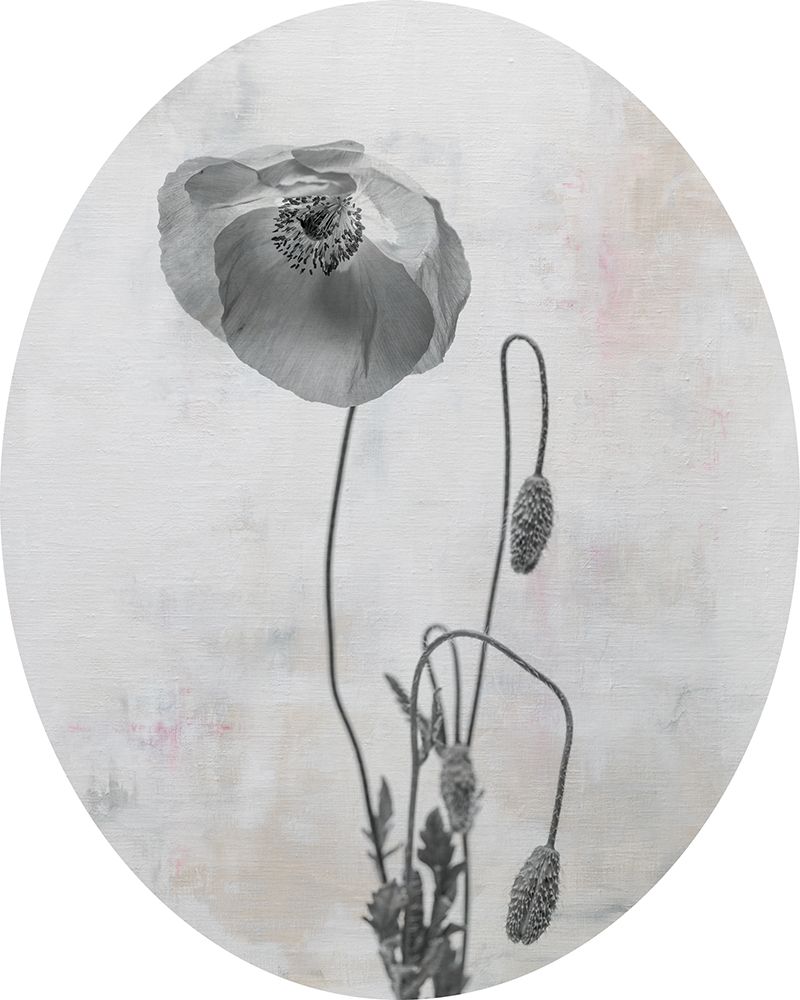 Wonderful Wildflowers I Neutral Oval art print by Deborah Revell for $57.95 CAD