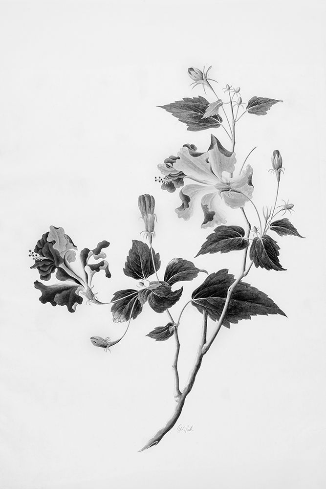 Botanical I art print by Deborah Revell for $57.95 CAD