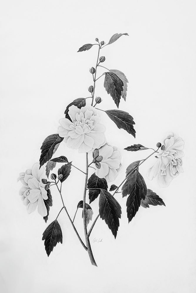 Botanical III art print by Deborah Revell for $57.95 CAD