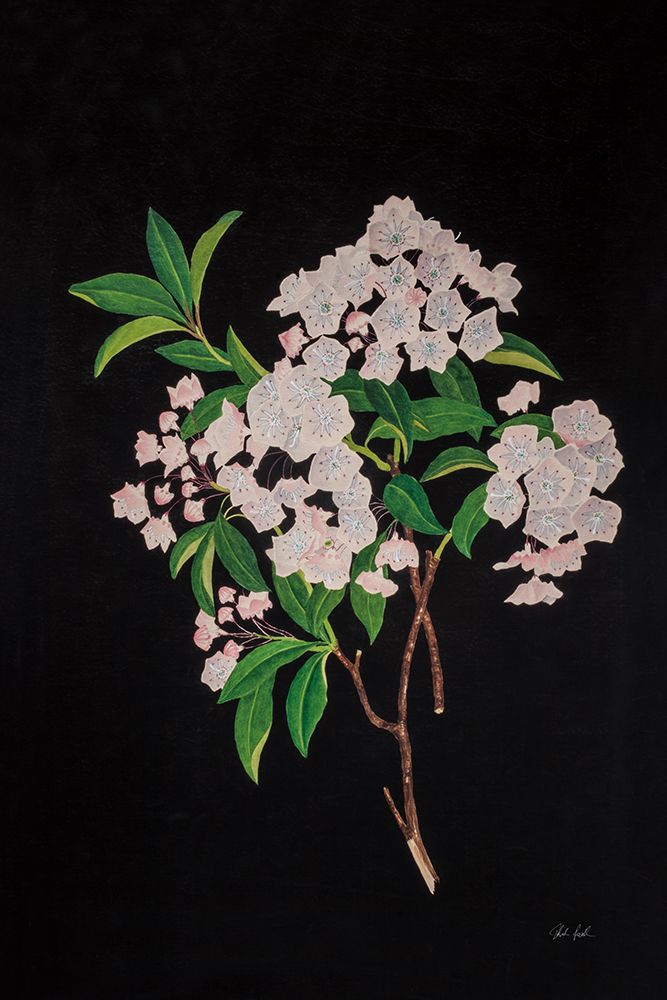 Thorndike art print by Deborah Revell for $57.95 CAD