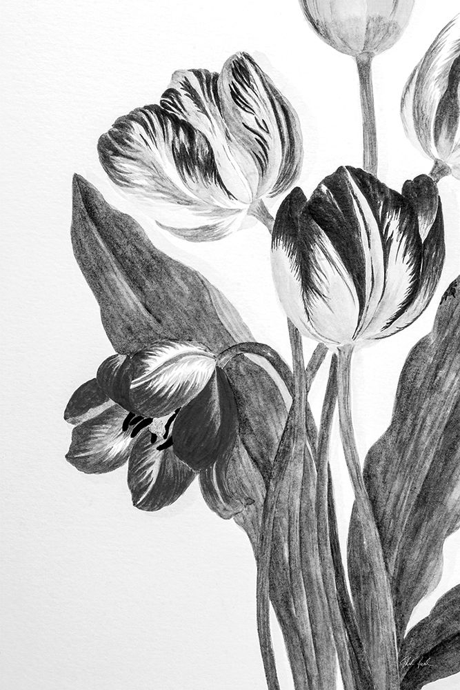 Illustrated Tulip art print by Deborah Revell for $57.95 CAD