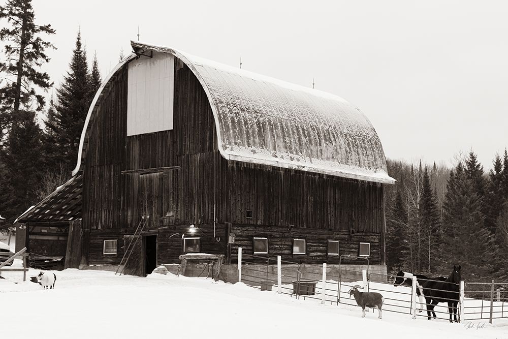 The Farm art print by Deborah Revell for $57.95 CAD