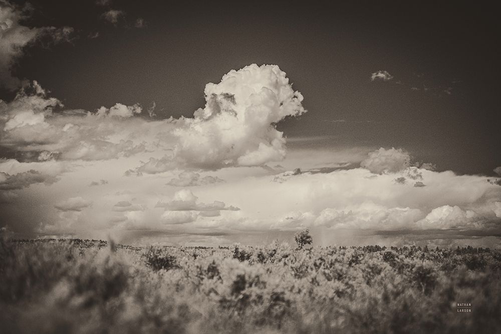 Banks of the Yellowstone River art print by Nathan Larson for $57.95 CAD