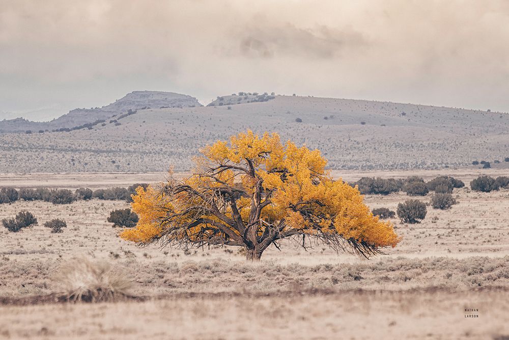 Tree of Life art print by Nathan Larson for $57.95 CAD