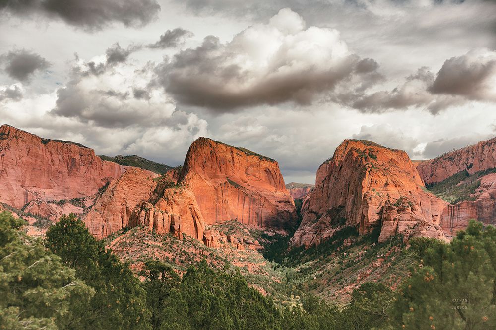 Beauty of Zion No Blur art print by Nathan Larson for $57.95 CAD