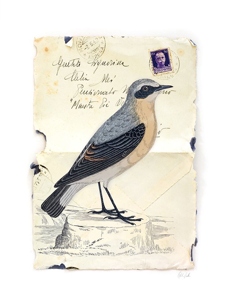 Wheatear art print by Deborah Revell for $57.95 CAD