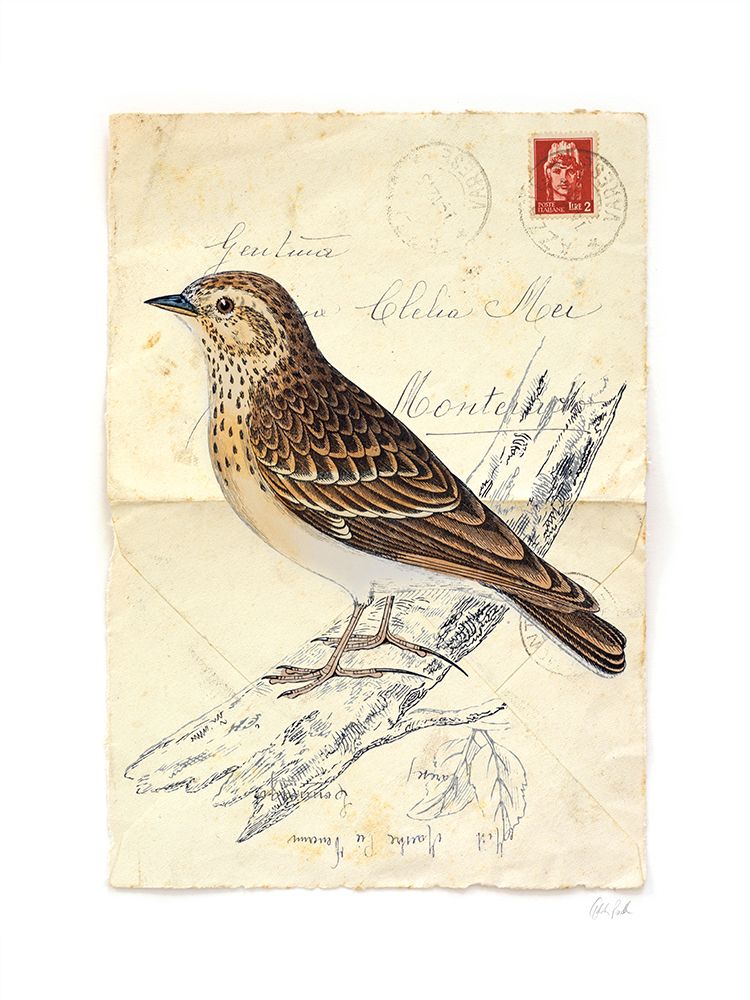 Wood Lark art print by Deborah Revell for $57.95 CAD