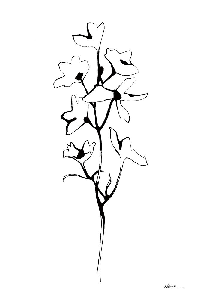 Ink Botanical art print by Shirley Novak for $57.95 CAD