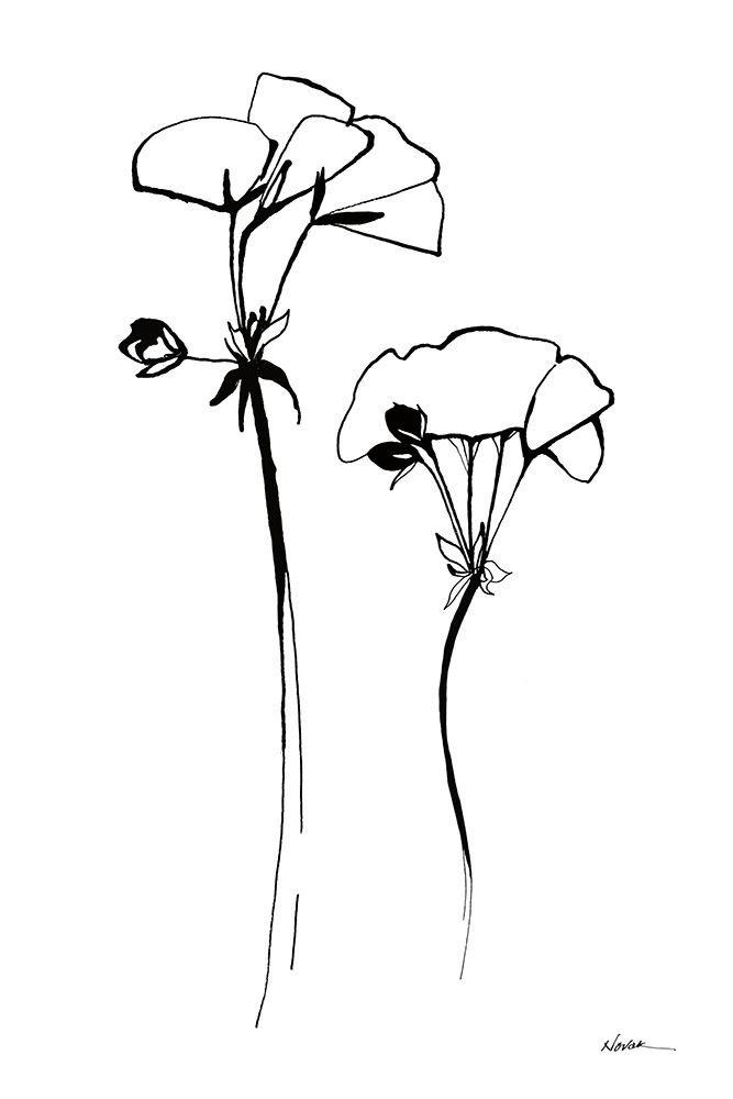 Ink Flowers art print by Shirley Novak for $57.95 CAD