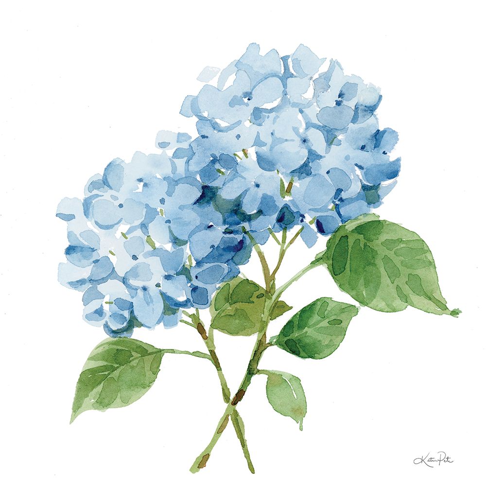 Blue Hydrangea I art print by Katrina Pete for $57.95 CAD