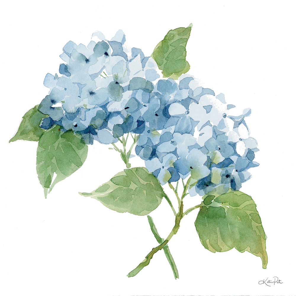 Blue Hydrangea II art print by Katrina Pete for $57.95 CAD