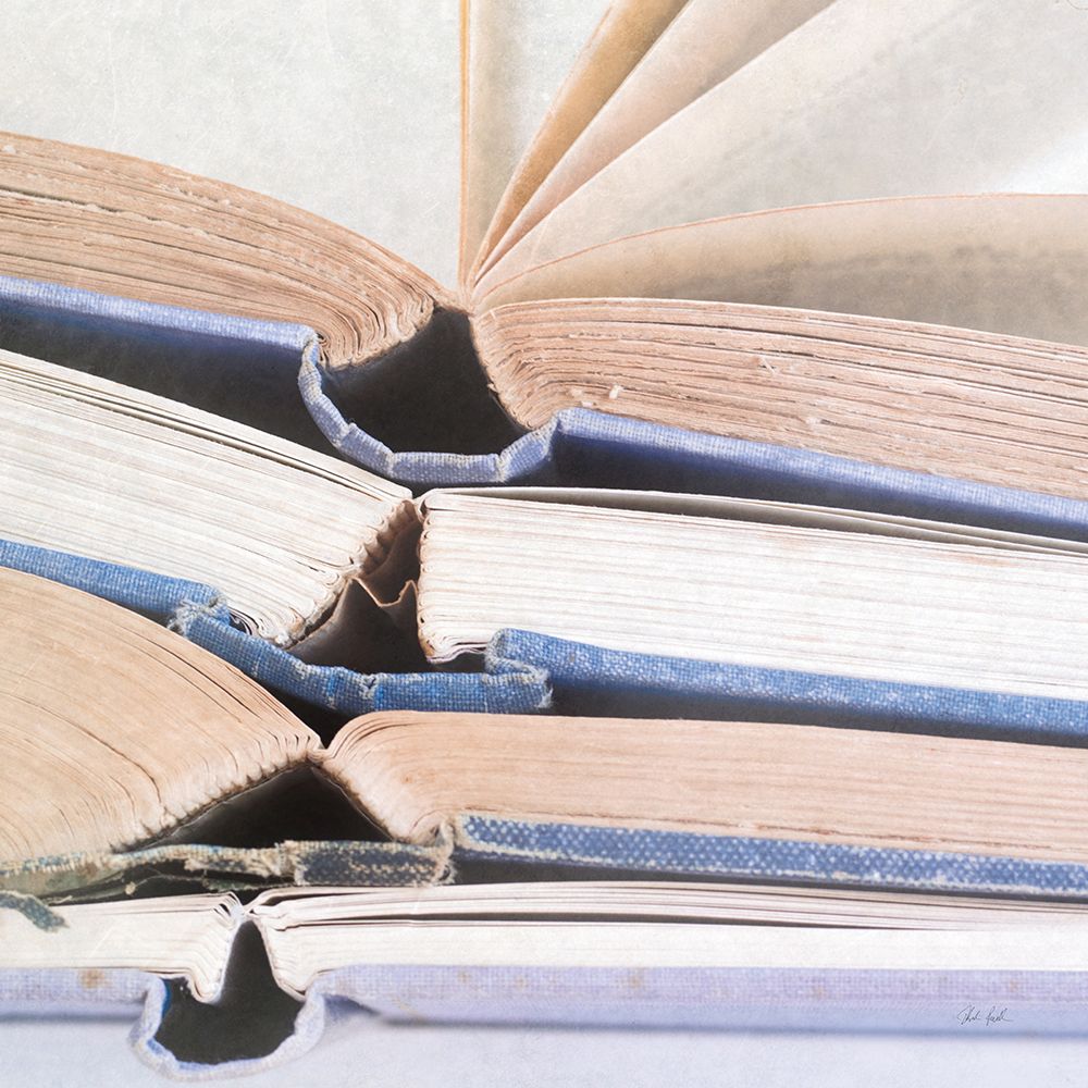 Livres Bleu art print by Deborah Revell for $57.95 CAD