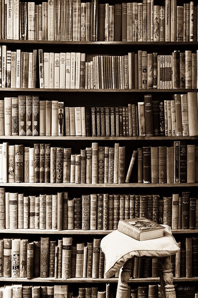The Library art print by Deborah Revell for $57.95 CAD