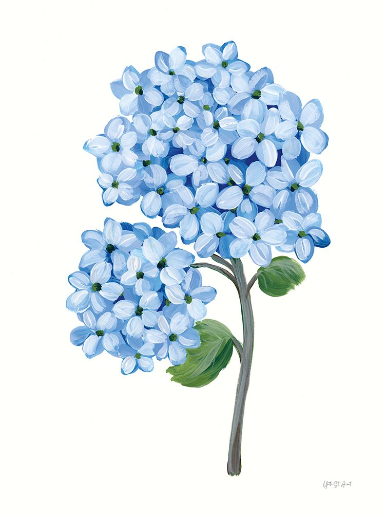 Nantucket Blue Hydrangea II art print by Yvette St. Amant for $57.95 CAD