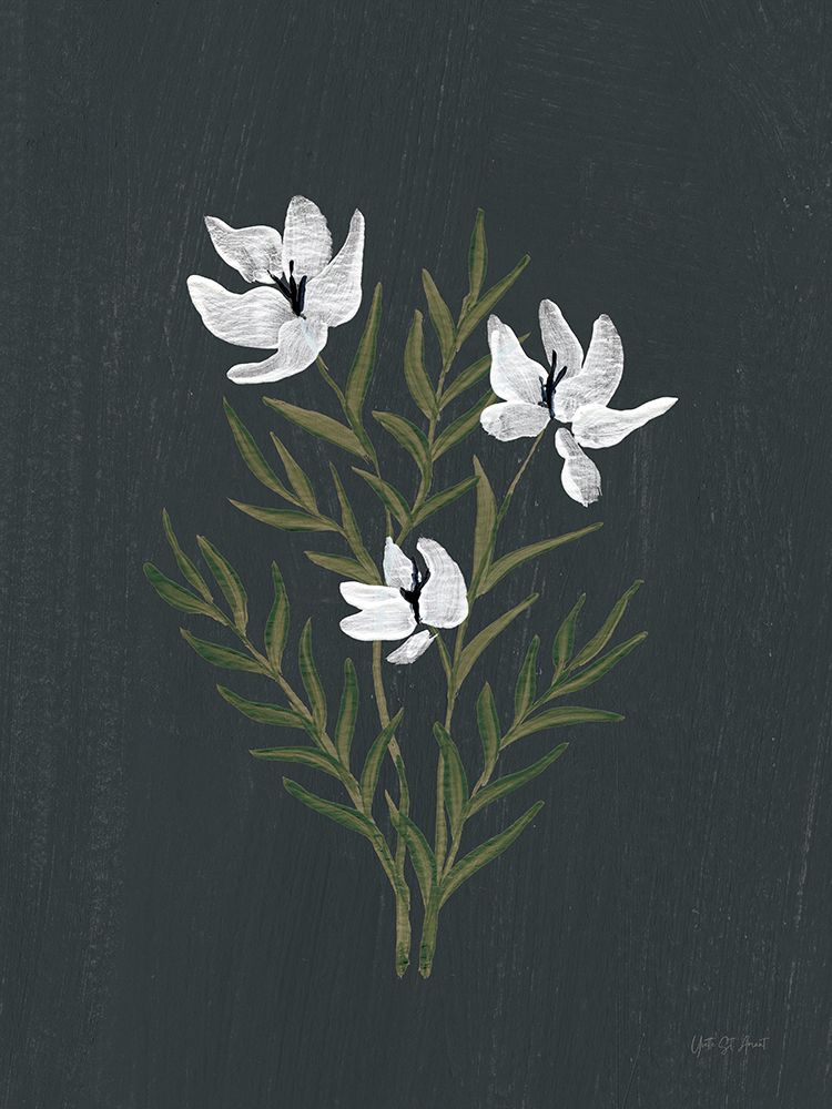 Pretty Little Flower IV Black art print by Yvette St. Amant for $57.95 CAD