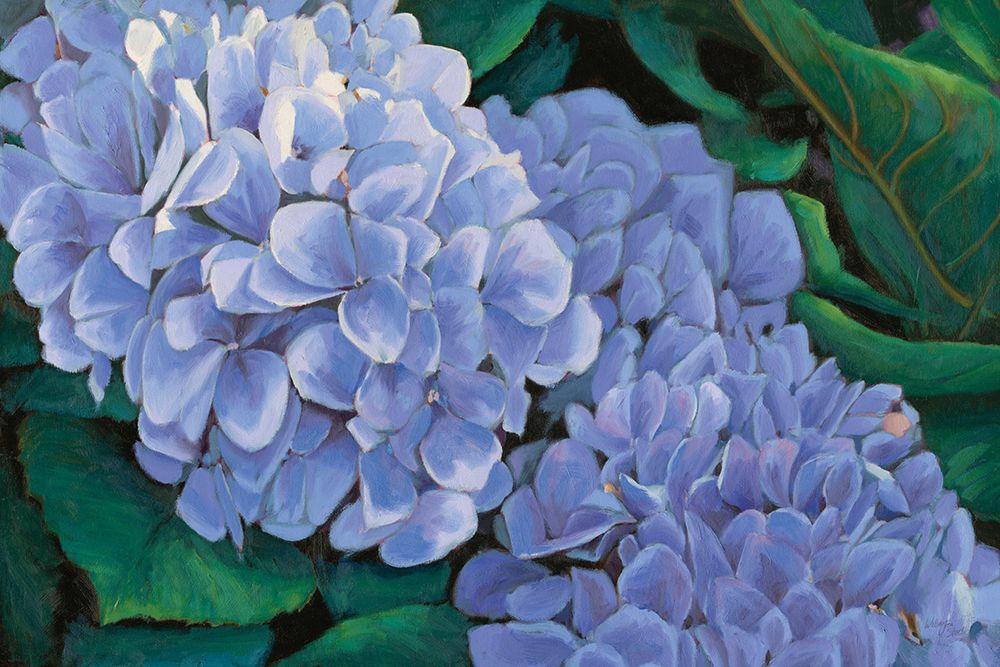 Periwinkle Hydrangea art print by Wellington Studio for $57.95 CAD