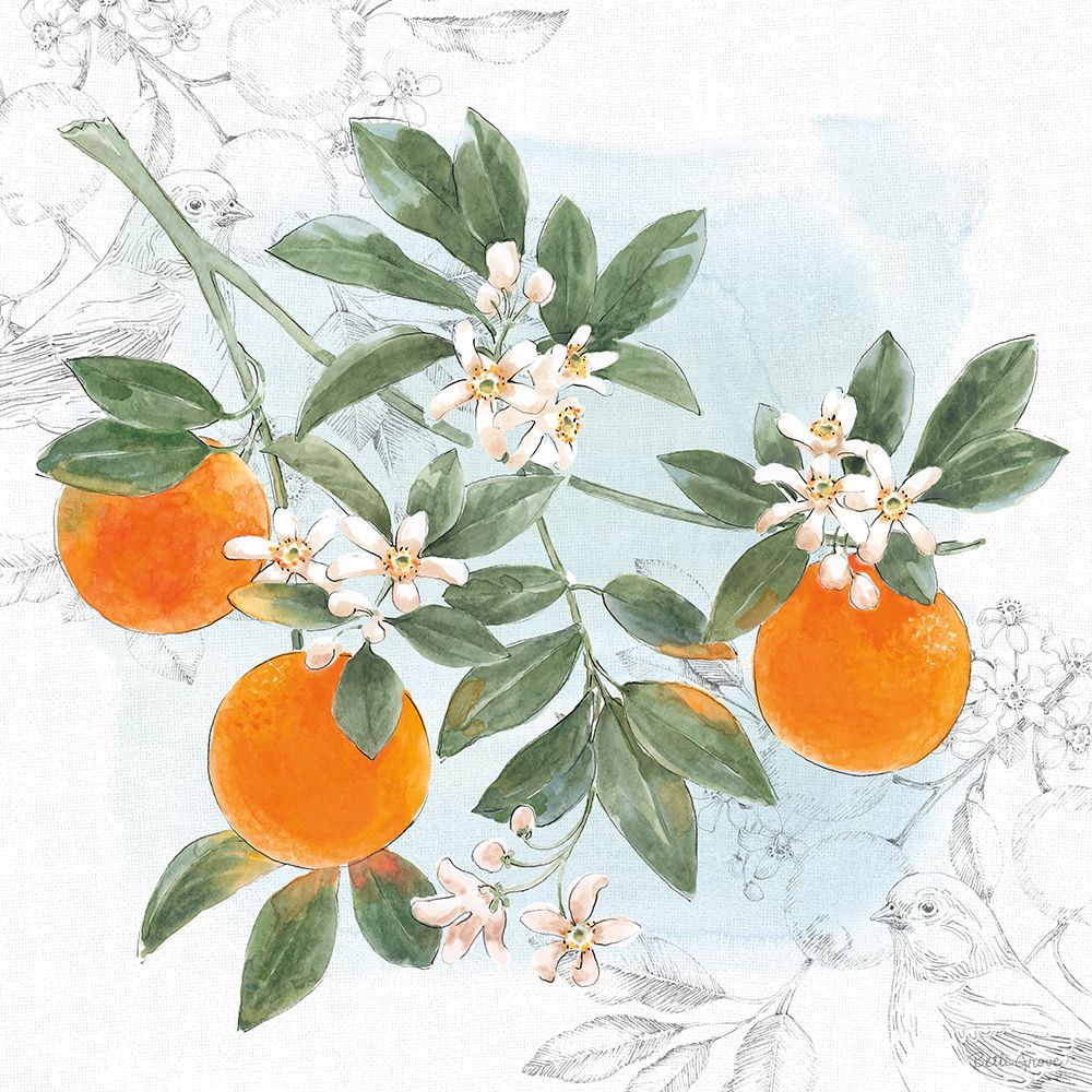 Citrus Wings II art print by Beth Grove for $57.95 CAD