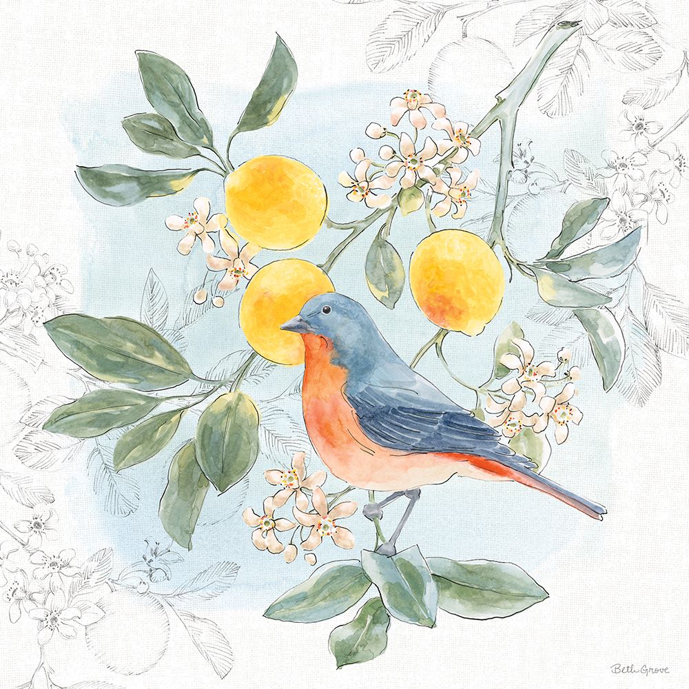 Citrus Wings III art print by Beth Grove for $57.95 CAD