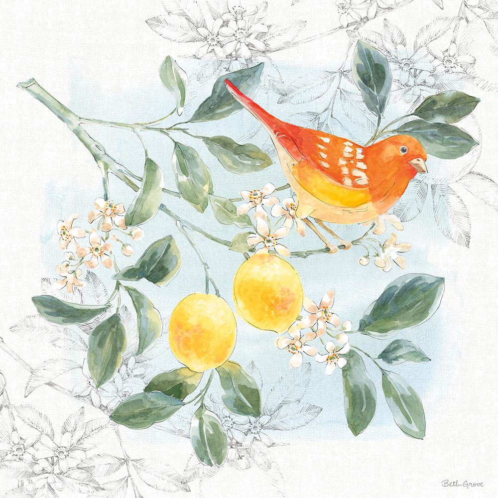 Citrus Wings IV art print by Beth Grove for $57.95 CAD