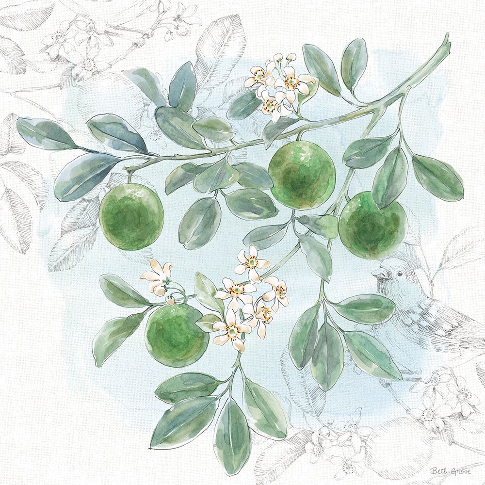 Citrus Wings V art print by Beth Grove for $57.95 CAD