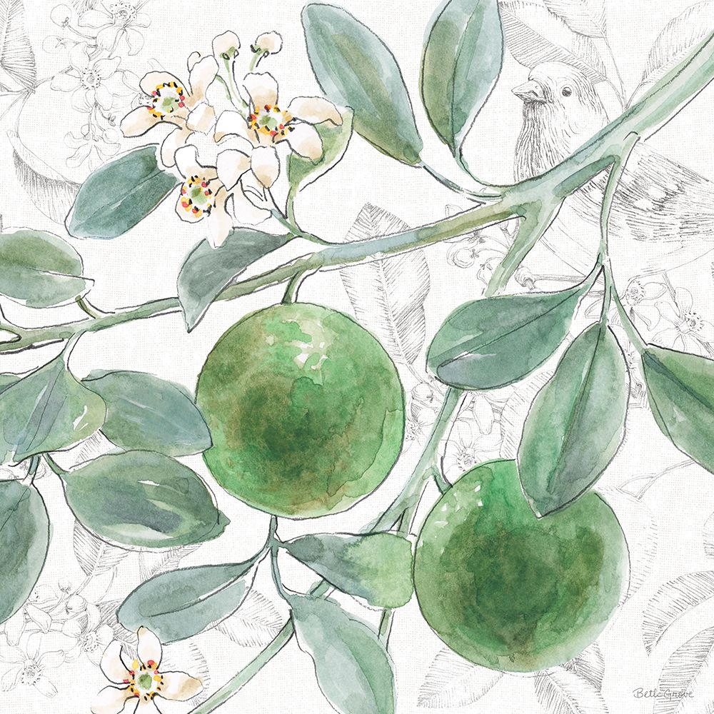 Citrus Wings VI art print by Beth Grove for $57.95 CAD