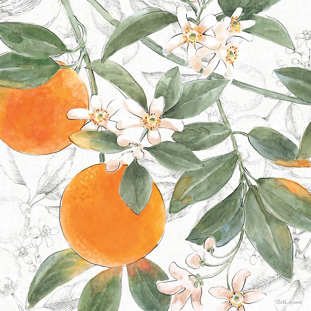 Citrus Wings VII art print by Beth Grove for $57.95 CAD
