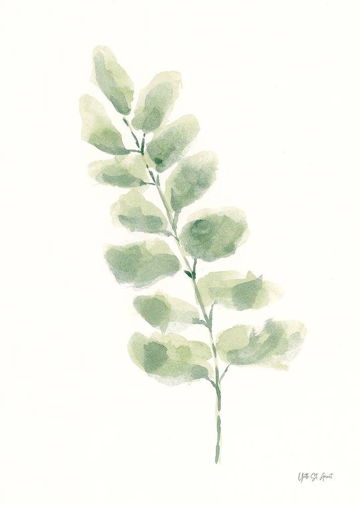 Eucalyptus II art print by Yvette St. Amant for $57.95 CAD
