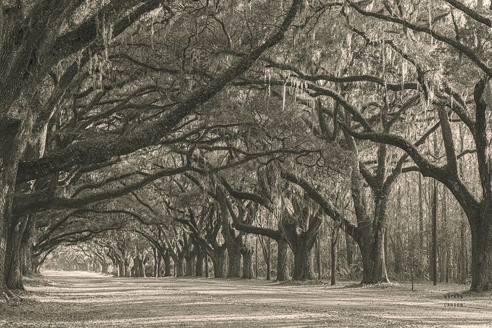 Georgia Afternoon art print by Nathan Larson for $57.95 CAD