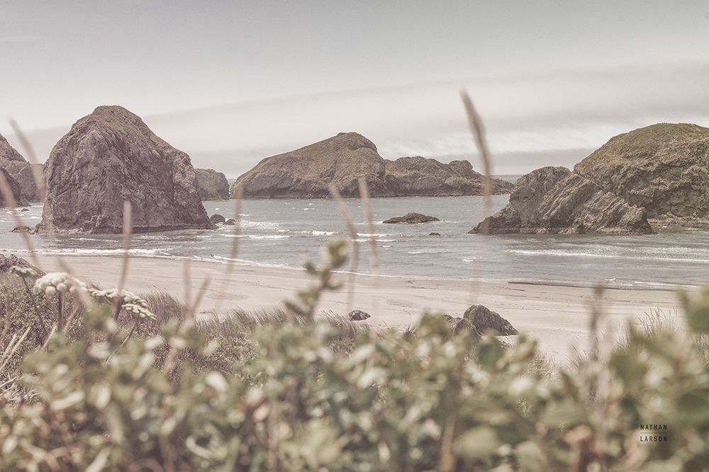 Lost Coast Discovery art print by Nathan Larson for $57.95 CAD