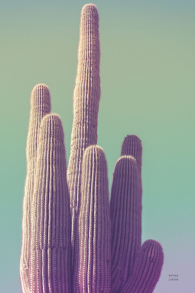 Saguaro Green Pastel art print by Nathan Larson for $57.95 CAD