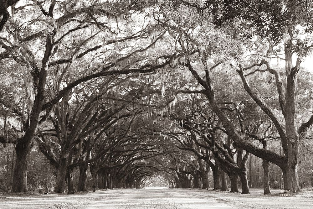 Georgia Stroll art print by Nathan Larson for $57.95 CAD