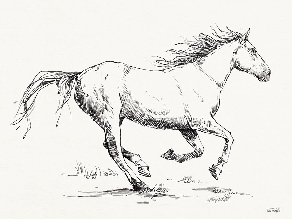 Gallop Sketch art print by Anne Tavoletti for $57.95 CAD
