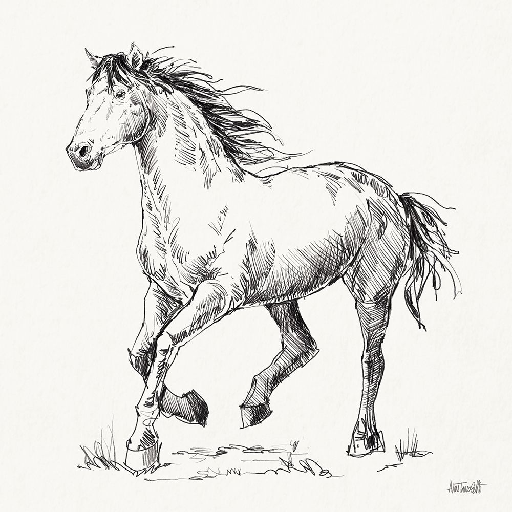 Trot Sketch art print by Anne Tavoletti for $57.95 CAD