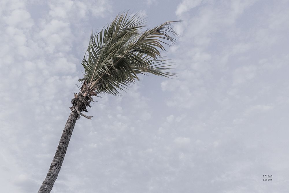 Key West art print by Nathan Larson for $57.95 CAD