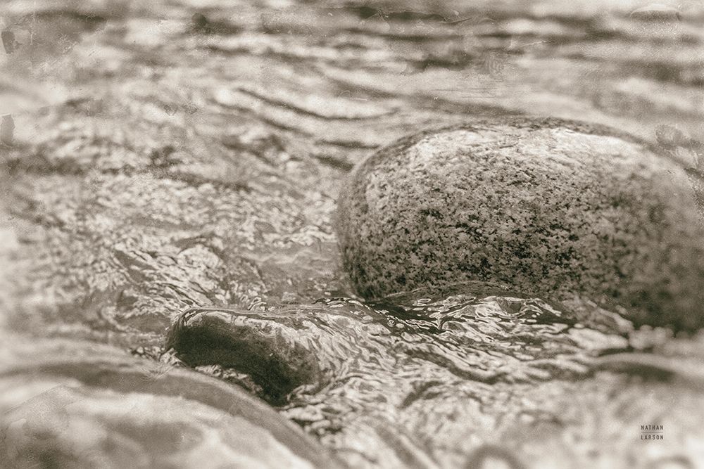 Glide Sepia art print by Nathan Larson for $57.95 CAD