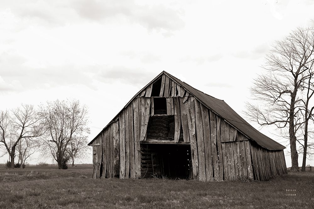 Old Hay Barn art print by Nathan Larson for $57.95 CAD