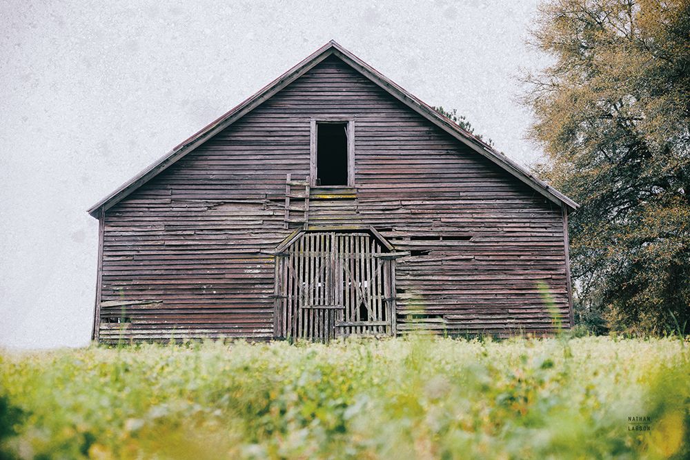 Peanut Farm art print by Nathan Larson for $57.95 CAD