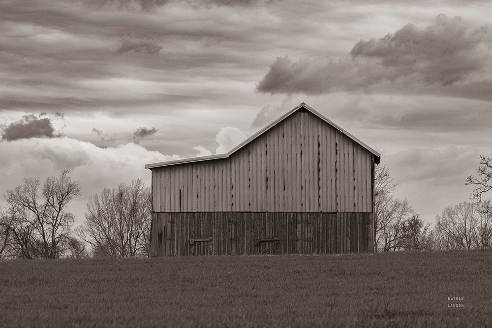 Spring Storms Sepia art print by Nathan Larson for $57.95 CAD