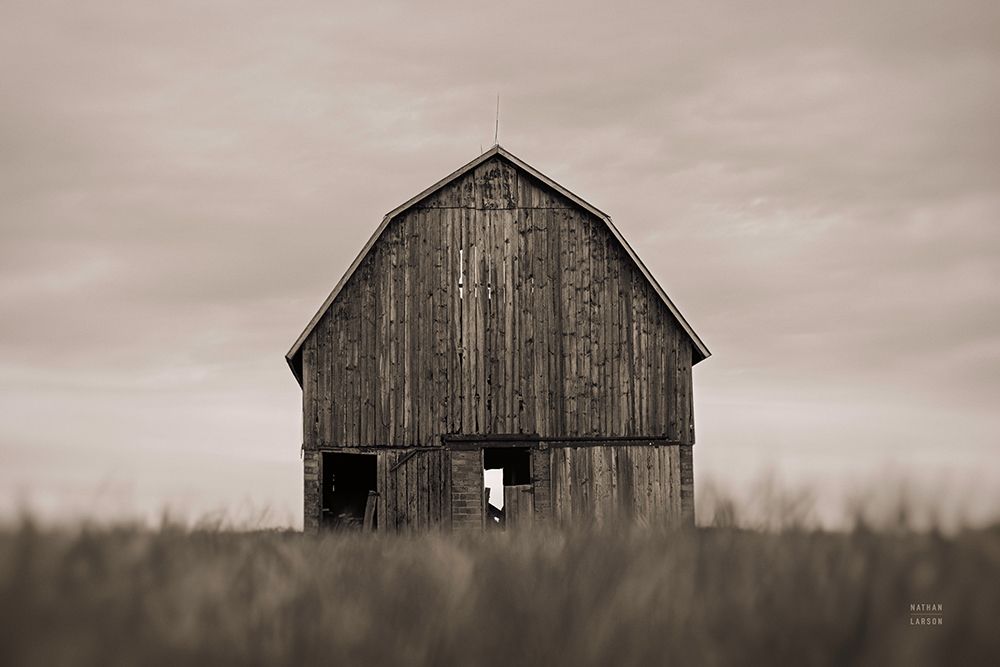 Middle America Sepia art print by Nathan Larson for $57.95 CAD