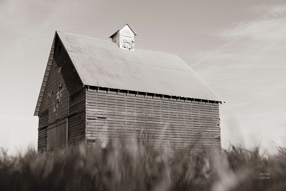 End of the Field BW art print by Nathan Larson for $57.95 CAD