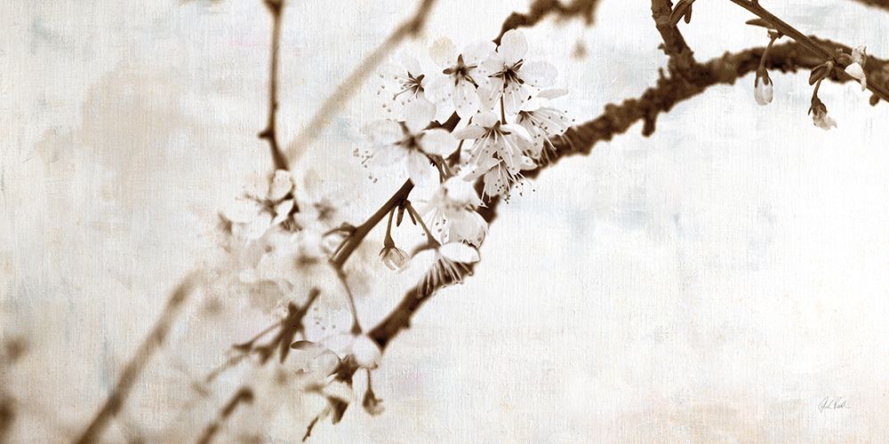 Natural Blossom art print by Deborah Revell for $57.95 CAD