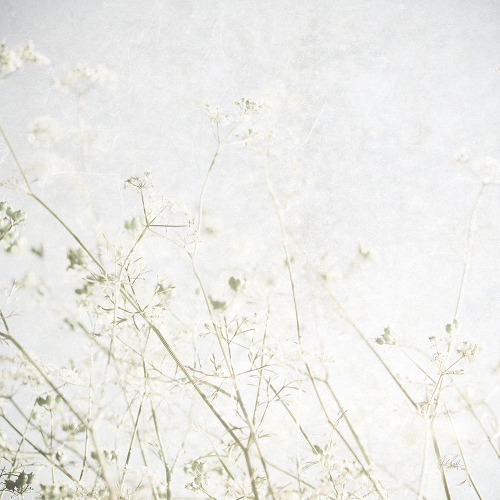 Soft Wild Grass art print by Deborah Revell for $57.95 CAD