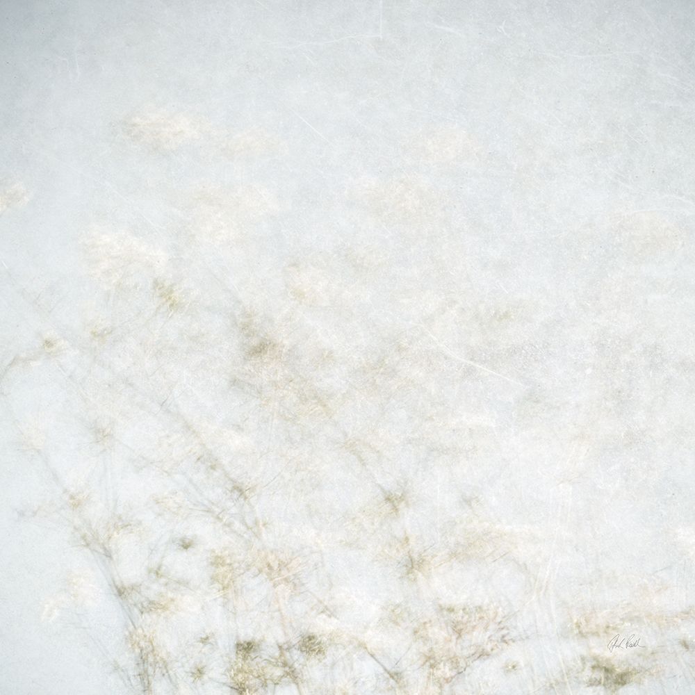 Wild Grass Impressions art print by Deborah Revell for $57.95 CAD