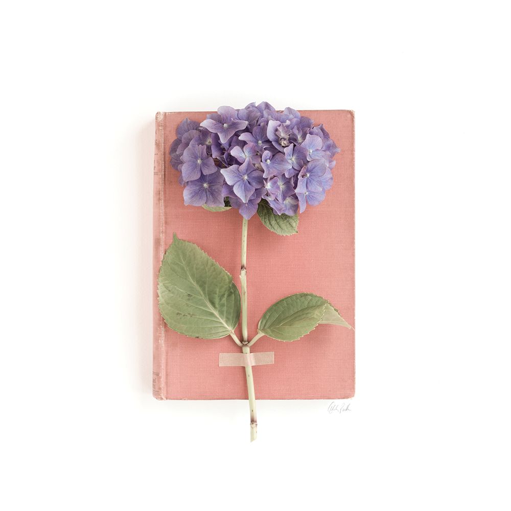 Purple Hydrangea on Book art print by Deborah Revell for $57.95 CAD