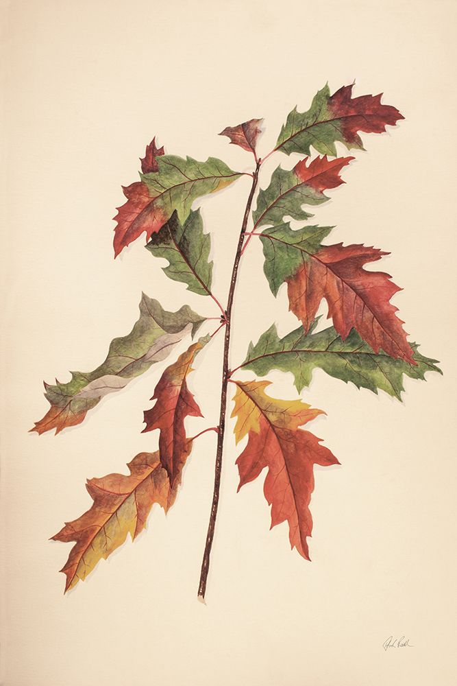 Fall Leaves I Muted art print by Deborah Revell for $57.95 CAD