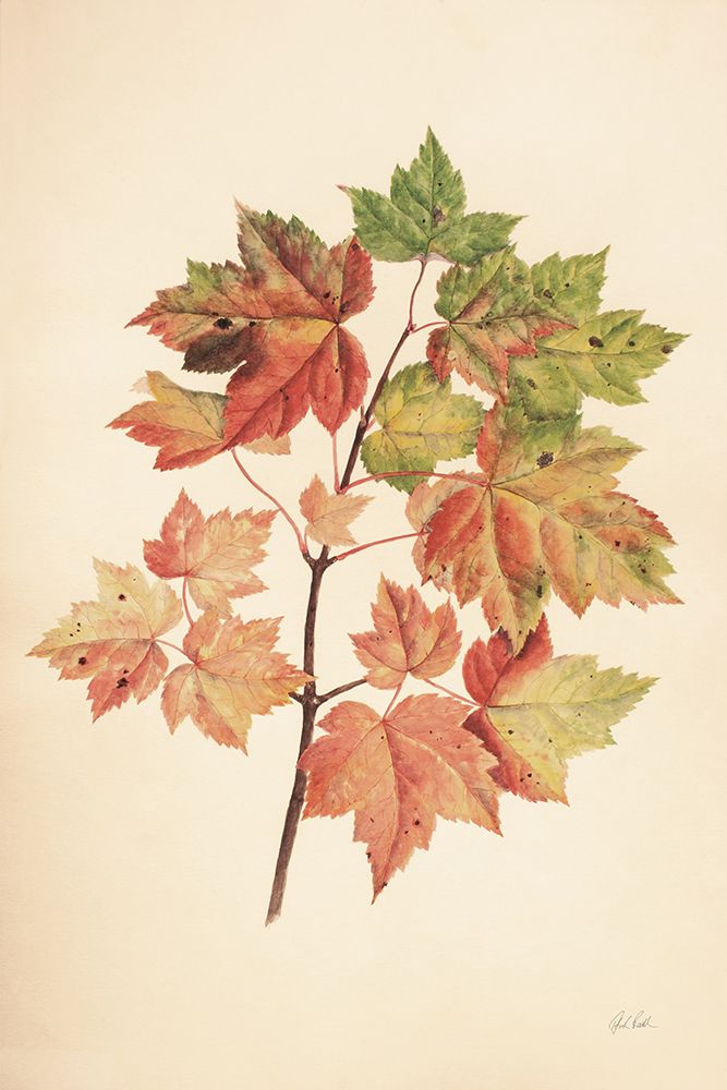 Fall Leaves II Muted art print by Deborah Revell for $57.95 CAD