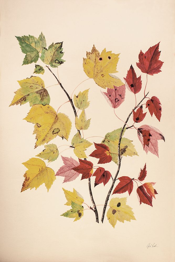Fall Leaves III Muted art print by Deborah Revell for $57.95 CAD