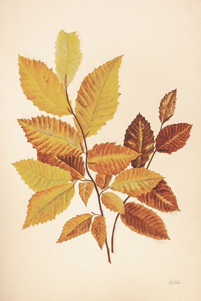 Fall Leaves IV Muted art print by Deborah Revell for $57.95 CAD