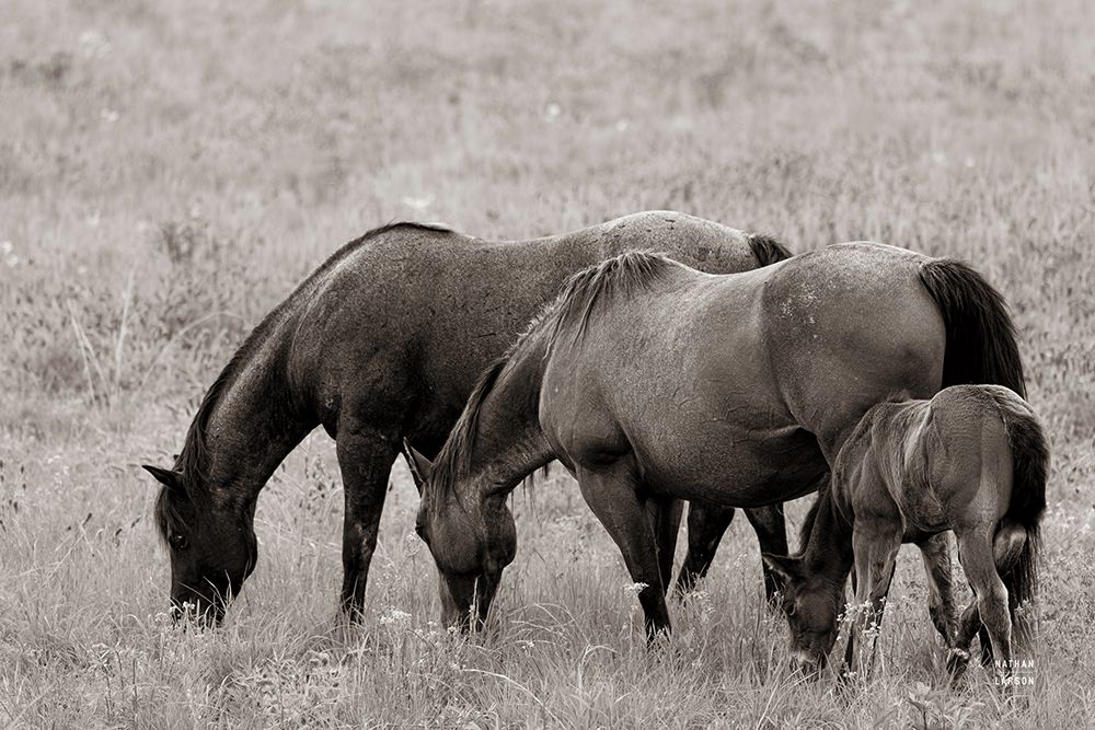 Together Sepia art print by Nathan Larson for $57.95 CAD